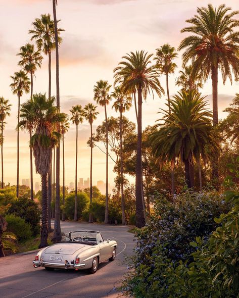 Elysian Park. Los Angeles. 🌙 and a beautiful 190 SL riding into the sunset. I wish there could be a Mercedes logo emoji. • • #elysian… | Instagram Beverly Hills View, Riding Into The Sunset, Elysian Park, Paul Fuentes, Mercedes Logo, Los Angeles Parks, The Beverly Hills Hotel, Pink Palace, Beverly Hills Hotel