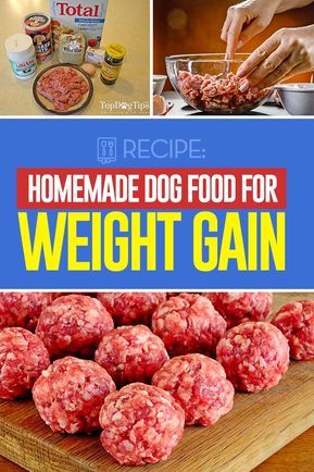 Weight Gain For Dogs, Rottie Puppy, Satin Balls, High Protein Dog Food, Doggy Treats, Make Dog Food, Dog Biscuit Recipes, Desserts Keto, Weight Gain Meals