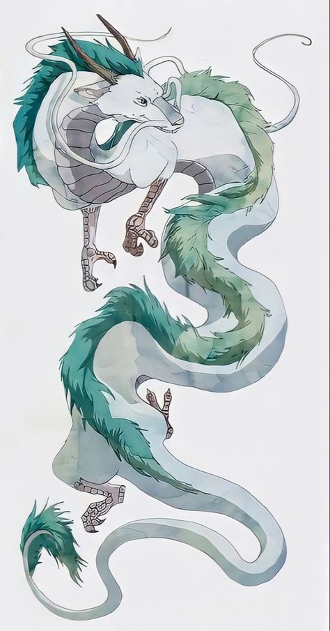 Infinity Drawings, Japanese Dragon Drawing, Eastern Dragon, Ghibli Tattoo, Chihiro Y Haku, Dragon Sketch, Japanese Dragon, Studio Ghibli Art, Desenho Tattoo