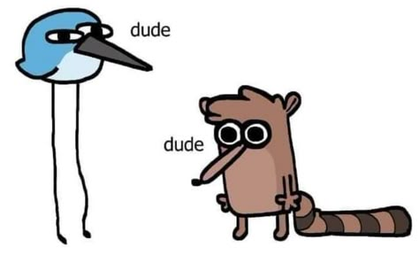 Monkey With Glasses, Regular Show, Silly Images, Racoon, Reaction Images, Reaction Memes, Really Funny Pictures, Funky Art, Cute Doodles