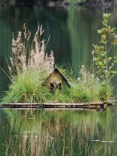 Duck Floating House, Duck House On Pond, Floating Duck House, Duck Island, Backyard Ducks, Farm Pond, Floating Garden, Duck House, Duck Pond