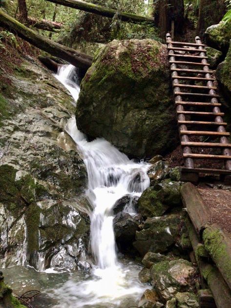 Stinson Beach California, Marin County California, Mount Tamalpais, Stinson Beach, California Hikes, California Coastline, Cali Life, Marin County, Summer 2025