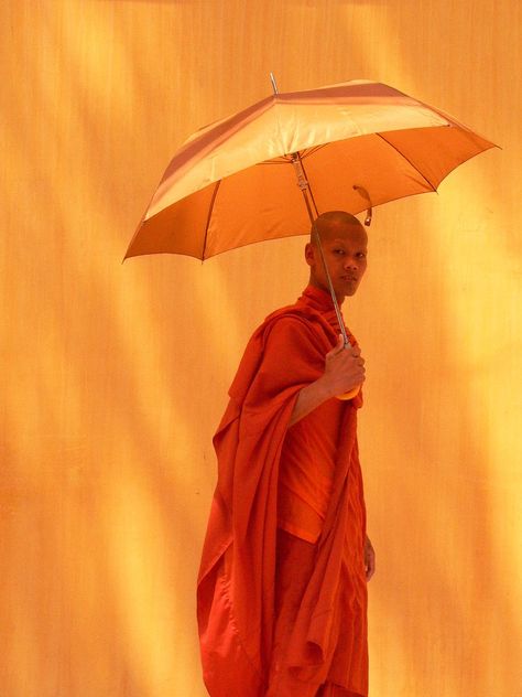 "It is the way we react to circumstances that determines our feelings."   ~ Dale Carnegie  By:   Acrobatic Pony   <3 lis Photowall Ideas, The Color Orange, Little Buddha, Buddhist Monks, Under My Umbrella, Rainbow Aesthetic, Buddhist Monk, Orange You Glad, Orange Aesthetic