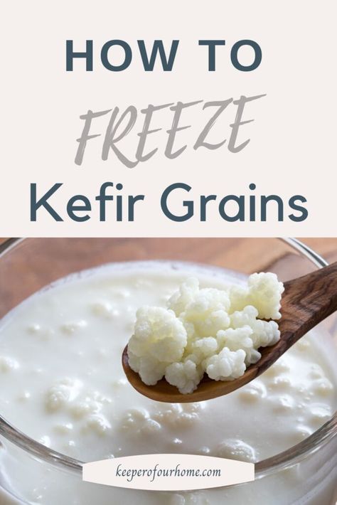 Keifer Recipes, Kiefer Recipes, Diy Kefir, Freeze Milk, Milk Kefir Recipes, Milk Goats, Kefir Benefits, Milk Kefir Grains, Water Kefir Grains