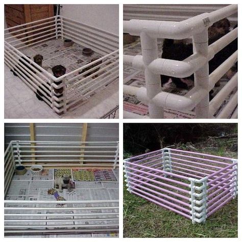 Pvc Dog House, Diy Dog Pen, Indoor Dog Pen, Puppy Pen, Puppy Pens, Indoor Dog Kennel, Chicken Shed, Dog Car Accessories, Puppy Room