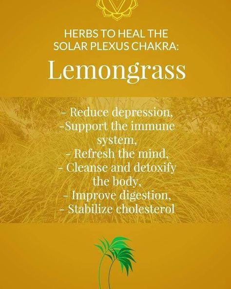 Lemongrass: Healig the Solar Plexus Chakra. Chakra Herbs, The Solar Plexus Chakra, Oil Benefits, Solar Plexus Chakra, Improve Digestion, Solar Plexus, Chakra Healing, Lemon Grass, Healthy Tips