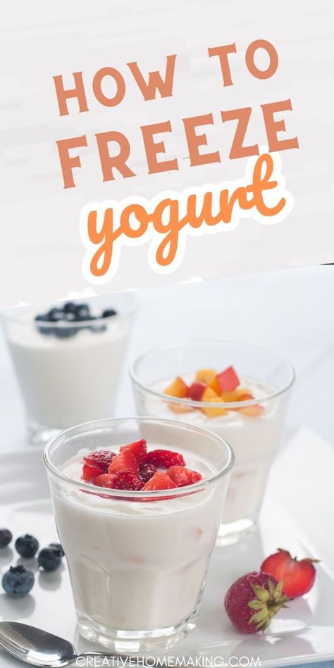 Freeze Yogurt, Freezing Yogurt, Greek Yogurt Recipes Healthy, Yogurt Treats, Easy Frozen Yogurt, Yogurt Recipes Healthy, Whipped Yogurt, Vanilla Frozen Yogurt, Greek Yogurt Recipes