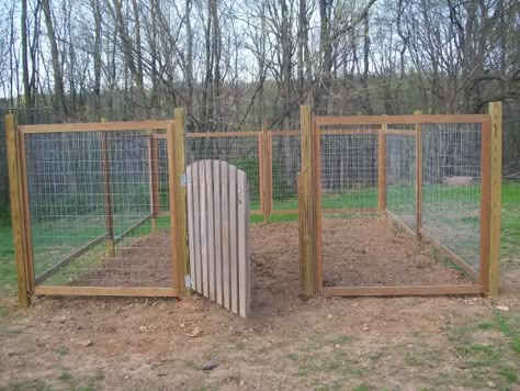 Temporary Fence For Dogs, Hog Wire Fence, Diy Dog Fence, Cheap Garden Fencing, Chicken Wire Fence, Chicken Fence, Fenced Vegetable Garden, Fence Options, Diy Garden Fence