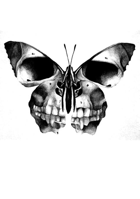 Scull butterfly Skull And Butterfly Tattoo, Butterfly Skull, Butterfly Skull Tattoo, Skull Butterfly Drawing, Butterfly With Skull, Skull And Butterfly Drawing, Butterfly Skulls, Skull Butterfly Tattoo Design, Skull Butterfly