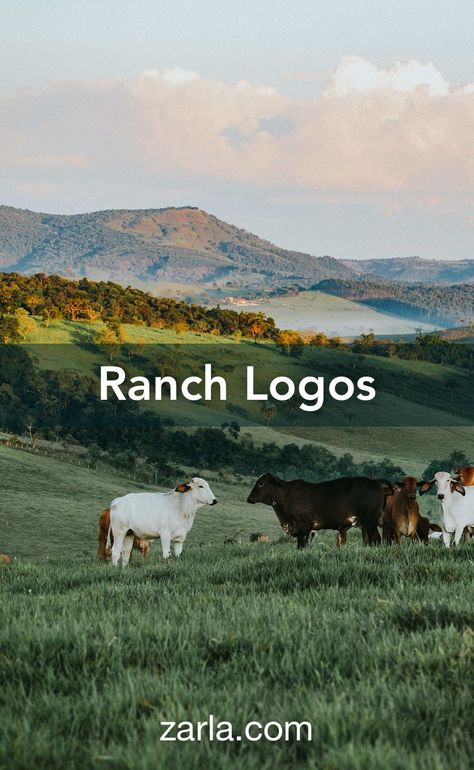 10 incredible logo suggestions for your ranch. Ranch Logos Ideas, Ranch Logo Design Ideas, Ranch Brands Ideas, Farm Logo Inspiration, Ranch Names, Ranch Logo, Agriculture Logo, Fresh Logo, Cattle Brands