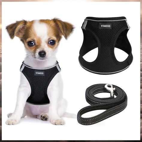 YIMEIS Dog Harness and Leash Set, No Pull Soft Mesh Pet Harness, Reflective Adjustable Puppy Vest for Small Medium Large Dogs Carbisdale Castle, Doune Castle, Reflective Dog Harness, Harness And Leash Set, Cat M, Small Dog Harness, Castle Scotland, Puppy Harness, Dog Vest Harness