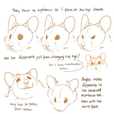 Maus Illustration, Sketchbook Ideas, Poses References, Animal Sketches, Anatomy Art, 영감을 주는 캐릭터, Facial Expressions, Rodents, Digital Art Tutorial