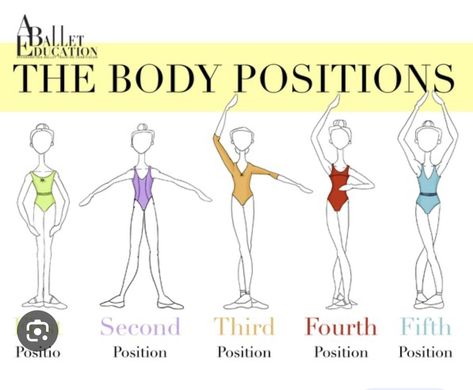 Ballet Arm Positions, Ballet Dance Moves, Ballet Education, Ballet Basics, Girl Hair Drawing, Ballet Positions, Acro Dance, Ballet Technique, Ballet Moves