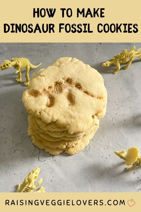 Fossil Cookies, Dinosaur Themed Food, Dinosaur Snacks, Dinosaur Books For Kids, Dinosaur Themed Party, Dinosaur Food, Theme Snack, Easy Toddler Meals, Dinosaur Cookies