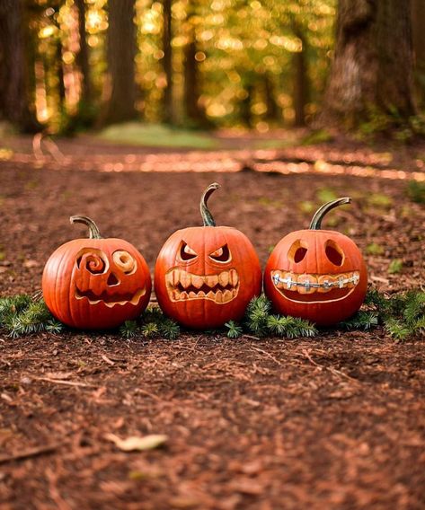 10 pumpkin carving ideas – pretty and peculiar designs for Halloween | Real Homes Jarrahdale Pumpkin, Pumpkin Cravings, Craft Pumpkins, Pumpkin Carver, Amazing Pumpkin Carving, Easy Pumpkin Carving, Pumpkin Images, Scary Pumpkin Carving, Pumpkin Carving Designs