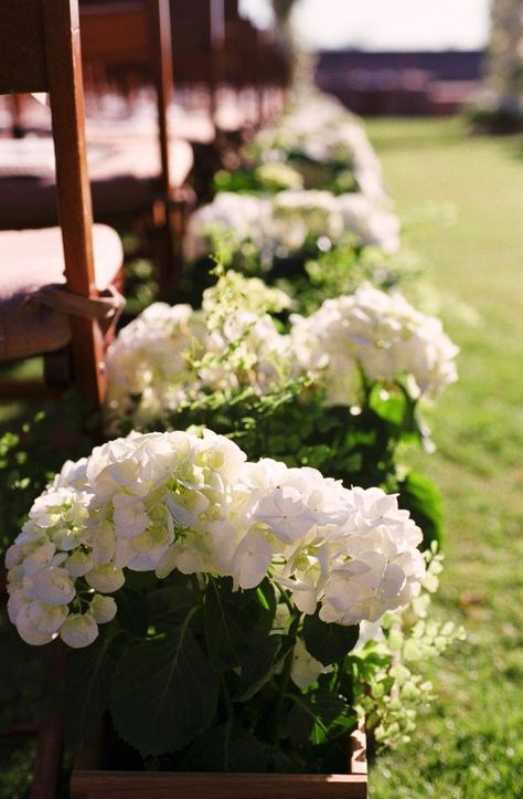 cute and cheap. potted plants set in wooden boxes to line the ... Outdoor Aisle, Potted Plants Patio, Hydrangea Potted, Flower Holders, Tattoo Plant, Wedding Isles, Plant Pot Diy, Potted Plants Outdoor, Green Ideas