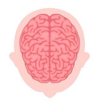 Adobe Illustrator Art, View From Above, Illustrator Art, Human Brain, Image Illustration, Adobe Illustrator, Create Yourself, Brain, Vector Illustration