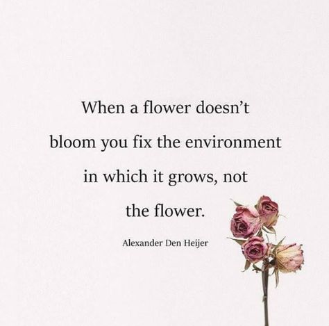 "When a flower... Quotes Flower, Life Poetry, Power Of Positivity, Flower Quotes, Life Words, Trendy Quotes, Ideas Quotes, Positive Words, Inspiring Quotes About Life