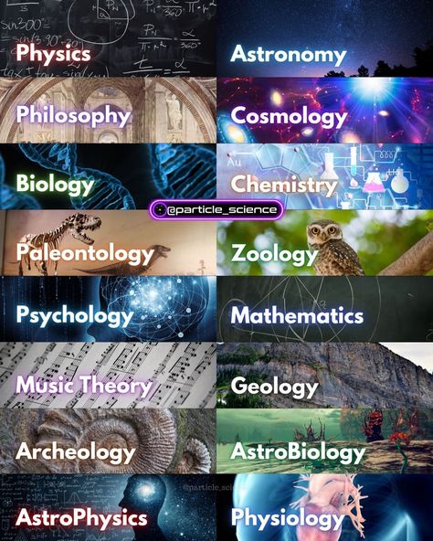 Academic Books, Theory Of Everything, What To Study, Astronomy Facts, Astronomy Science, Interesting Science Facts, Nebulas, Cool Science Facts, Amazing Science Facts