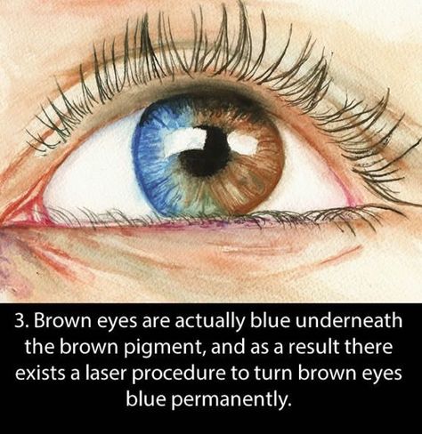 Brown Eyes Facts, Facts About Eyes, Different Types Of Eyes, People With Blue Eyes, Window To The Soul, Eye Facts, New Knowledge, Fun Facts About Yourself, Types Of Eyes