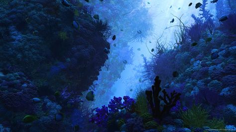 GRAND THEFT AUTO V - HOW TO FIND THE SEA MONSTER! 3d Underwater, Sea Life Wallpaper, Underwater Wallpaper, Tank Wallpaper, Underwater Background, Jjk Oc, Ocean Underwater, Water Aesthetic, Underwater Art