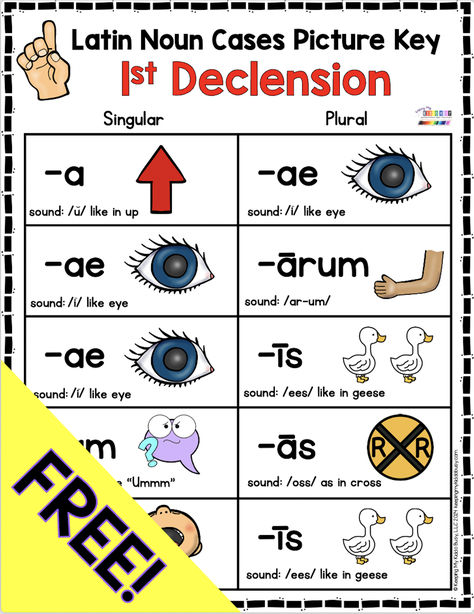 Print these FREE posters and activities to teach your child Latin Noun Declensions - CC Cycle One Latin memory work.  The printables and flashcards make it so easy to memorize - freebie download for homeschool #classicalconversations #ccmemorywork #clasicalconversationshomeschooling #homeschool #homeschooling Cc Presentation Ideas For Kids, Cc Family Presentation Ideas, Challenge A Classical Conversations, Classical Conversations Cycle 1, Cc Cycle 1, Classical Conversations Essentials, Cc Foundations, Classical Conversations Foundations, Teaching Latin