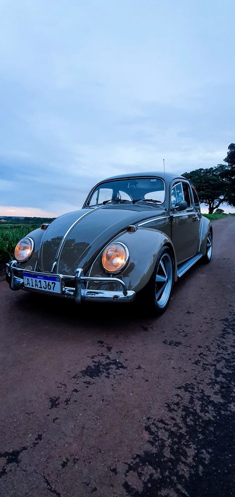 Fusca Wallpaper, Wallpaper Fusca, Volkswagen Beetle Wallpaper, Beetle Wallpaper, Beetle Car, Car Volkswagen, Vw Beetles, Volkswagen Beetle, Photo Wallpaper