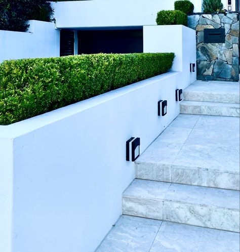 White Rendered Garden Wall, Buxus Hedge, Concrete Fence Wall, High Rise Residential, Concrete Yard, Cement Render, Scope Of Work, Stone Paving, Front Facade