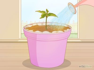 How to Make Pot Liners for Plants -- via wikiHow.com Plate Garden Art, Diy Plant Pot, Aloe Plant Care, Concrete Garden Ornaments, Seedling Pots, Garden Mushrooms, Plant Pot Diy, Recycle Cans, Aloe Plant