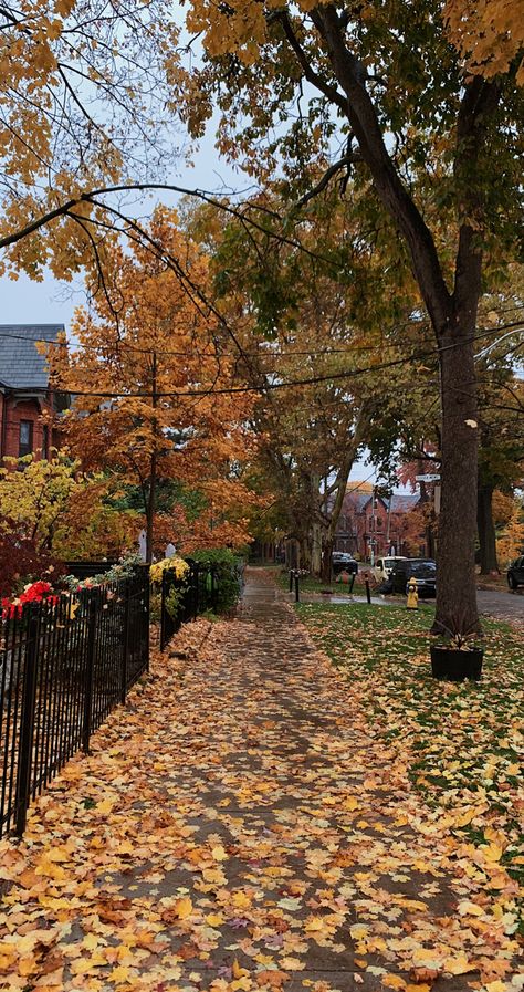 Fall Street Aesthetic, Suburban Fall Aesthetic, Halloween Street Aesthetic, Nostalgic Autumn Aesthetic, Atumm Aestetic, School During Fall Aesthetic, Fall Back To School Aesthetic, High School Fall Aesthetic, School In Fall Aesthetic