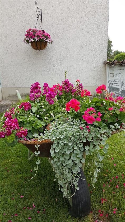 Wheelbarrow Planter Ideas, Diy Wheelbarrow, Wheelbarrow Planter, Small Yard Landscaping, Wheelbarrow Garden, Container Gardening Flowers, Flower Garden Design, Vintage Garden Decor, Planter Ideas