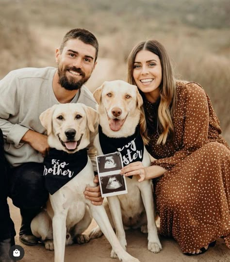 14 Adorable Ideas for Your Dog's Baby Announcement - Just Simply Mom Simple Pregnancy Announcement, Pregnancy Announcement Photography, Dog Baby Announcement, Pregnancy Announcement Pictures, Pregnancy Announcement Family, Sibling Announcement, Dog Pregnancy Announcement, Pregnancy Announcement Photoshoot, Creative Pregnancy Announcement