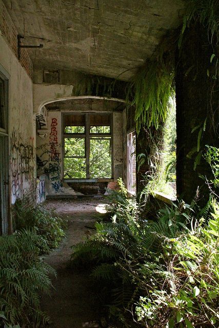 Nature Taking Over Abandoned, Nature Taking Back Buildings, Buildings Overtaken By Nature, When Nature Takes Over, Nature Taking Over Aesthetic, Nature Takes Over, Abandoned School Buildings, Abandoned School Aesthetic, Nature Taking Over Buildings