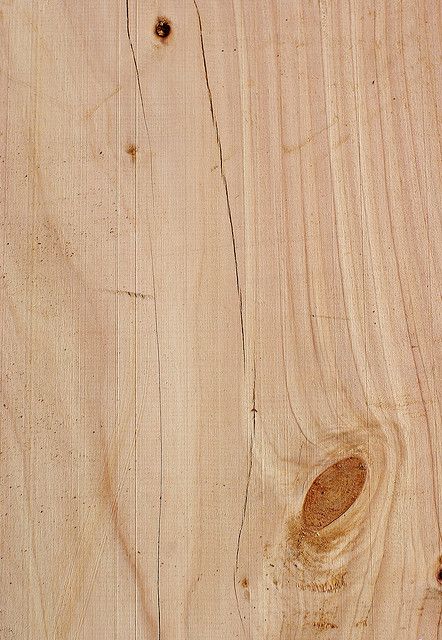 light wood texture Light Wood Texture, Wooden Panelling, Fresh Farmhouse, Art Fox, Wood Sample, Wood Designs, Material Textures, Materials And Textures, Wood Patterns