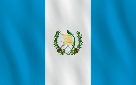 bandera de guatemala con efecto ondeante, proporción oficial. Anniversary Flowers, Machu Picchu, Guatemala, Premium Vector, Photo Wall, Collage, Wall, Pins, Quick Saves