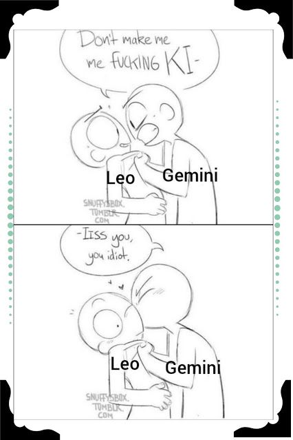 Zodiac Signs Couples, Zodiac Signs Relationships, Gemini Girl, Gemini And Leo, Leo Memes Zodiac Sign, Gemini Zodiac Memes Funny, Zodiac Funny, Zodiac Signs Leo, Astrology Humor Meme