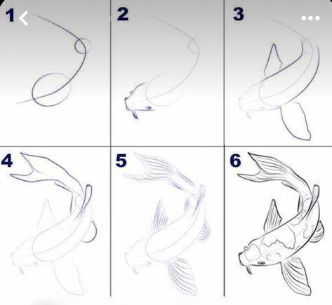 How To Draw A Koi Fish, Koi Pond Drawing, Draw A Koi Fish, Pond Drawing, Intermediate Art, Koi Fish Drawing, Koi Carp, Fish Drawings, Koi Pond