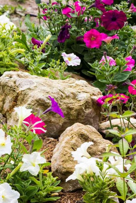 Adding Rocks To Flower Beds, Rock Beds Around House, Rock Flower Beds, Rock Garden Ideas, Garden Landscaping Diy, Outdoor Living Ideas, Outdoor Gardens Landscaping, Rock Bed, Raised Flower Beds