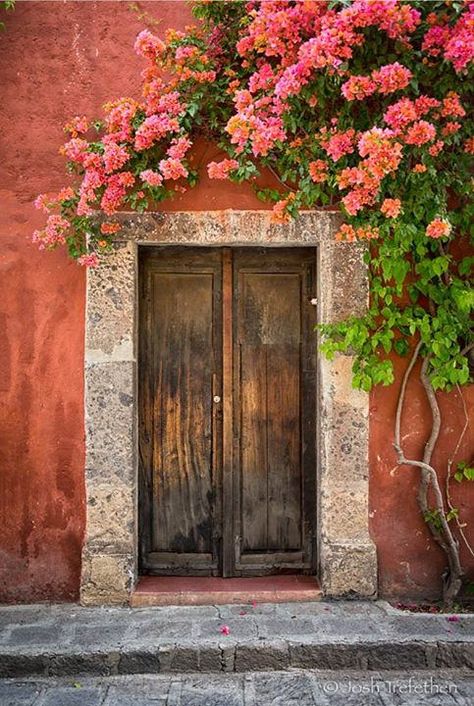 This door was right next to our hotel - love me some bougainvillea! | Flickr - Photo Sharing! Cool Doors, Open Door, Old Door, Old Doors, Unique Doors, Bougainvillea, Beautiful Doors, Windows And Doors, Knock Knock