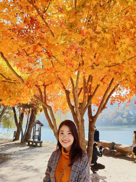 Korea Autumn, Autumn In Korea, Nami Island, Outfit Autumn, Seoul, Beautiful Places, Fall Outfits, Travel, Quick Saves