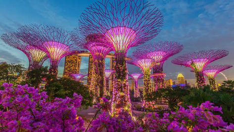 Singapore Holiday Guide | Elegant Resorts Holiday In Singapore, Garden Night, Butchart Gardens, Luxury Travel Destinations, London Garden, Chiang Rai, Moon Garden, Night Garden, Singapore Malaysia