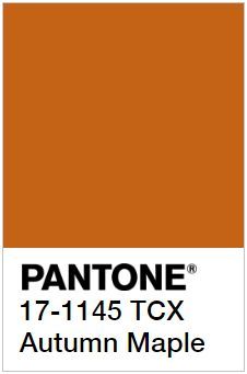 Orange Pantone, Pantone Orange, Golden Poppy, Henry Lee, Pantone Colours, Pantone 2020, Pantone Palette, Pantone Colour Palettes, Pantone Colors