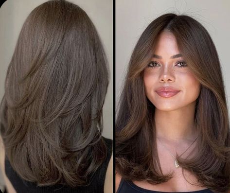 Mid Length Short Layers, Bra Strap Length Hair Haircuts, Long Layered Short Haircuts, Collarbone Length Hair Blowout, Voluminous Mid Length Hair, Textured Haircut For Fine Hair, Straight Brown Haircut, Grown Out Layers, Long Side Swept Bangs With Layers