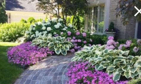 These hydrangeas and hostas complement each other beautifully Incrediball Hydrangea, Ideas Para Decorar Jardines, Hydrangea Landscaping, Flower Bed Designs, Shade Gardens, Landscaping Inspiration, Garden Wallpaper, Front Landscaping, Landscape Designs