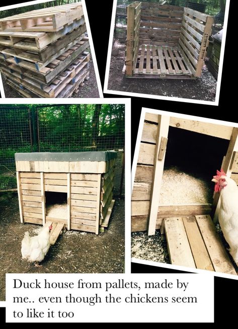 Duck Coop Pallets, Diy Pallet Duck Coop, Duck Coop Out Of Pallets, Cheap Duck House Easy Diy, Diy Pallet Duck House, Playhouse Duck Coop, Duck House From Pallets, Duck House Out Of Pallets, Duck House Pallets