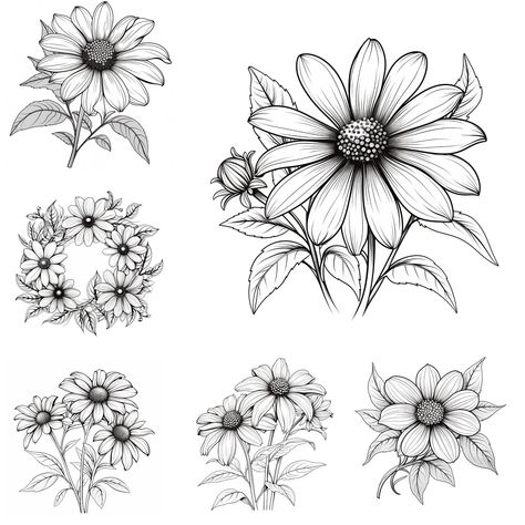 Line Drawing Floral, Black Eyed Susan Flower, Drawing Floral, Doodle Flowers, Floral Png, Flowers Png, Png Floral, Art Line, Black Eyed