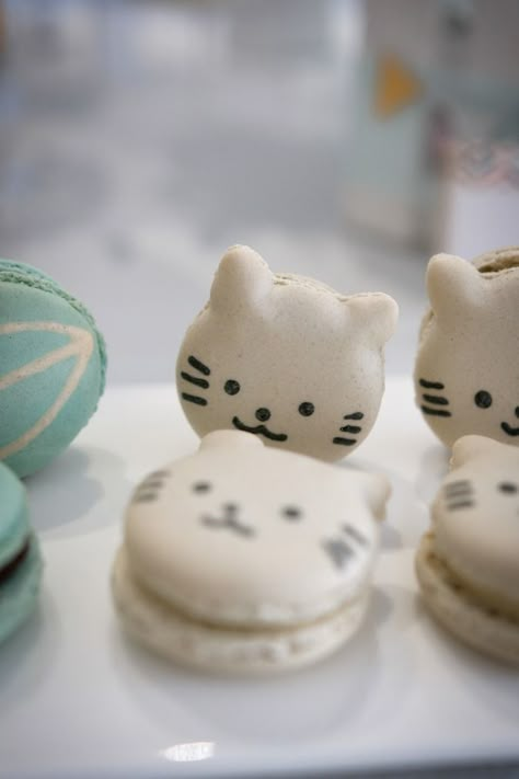 Macarons Birthday Party, Black Cat Macarons, Cute Cat Cake Ideas, Cute Macaron Ideas, Kawaii Party Ideas, Cat Macarons, Cat Desserts, Dessert Tarts Mini, Birthday Macarons