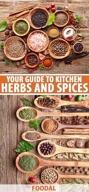 For sweet desserts or savory entrees, herbs and spices are crucial components to full-flavored dishes for the flavor nuances they provide – aroma, complexity, depth, warm spiciness, and cooling herbal notes.  Our complete guide provides all the info you need to successfully use these culinary essentials. #herbs #spices #foodal Kitchen Knowledge, Culinary Tips, Food Spices, Sauces Recipes, List Of Spices, Herbs List, Dry Mixes, Spice Blends Recipes, Cooking Herbs