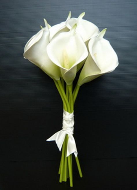 Calla Lily Bridal Bouquet, Lily Bridal Bouquet, Calla Lily Bridal, Cake Ball, Lily Bouquet, Spring Wedding Flowers, White Wedding Bouquets, White Wedding Flowers, Calla Lilies