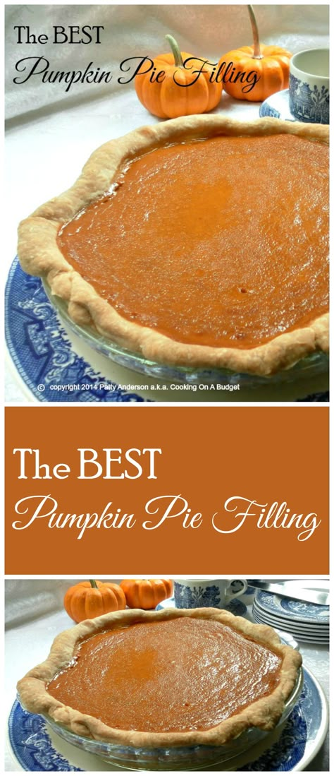 Pumpkin Pie No Cinnamon, Pumpkin Pie No Condensed Milk, Pumpkin Puree Pie Recipes, Amazing Pumpkin Pie, Pumpkin Pie Recipe No Condensed Milk, Best Pumpkin Pie Filling, Pumpkin Pie Made With Heavy Cream, Pumpkin Pie Heavy Cream, Pumpkin Pie With Half And Half